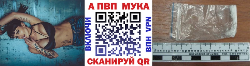 Alpha-PVP СК hydra зеркало Балашов